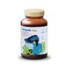 OmegaMe Vege - 60 kaps. - Health Labs Care